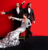 Casa Patas: Flamenco and the Power of Silence