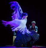 Ballet Flamenco La Rosa: Flamenco as a Complete Art Form