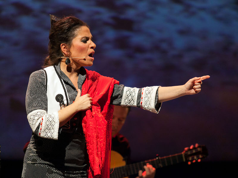 Flamenco Black”: Live Music, Dance Concert