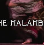 CULTURE SHOCK MIAMI Presents The YOU Review: Che Malambo