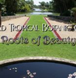 CULTURE SHOCK MIAMI Presents Another Inside Story: Fairchild Tropical Botanic Garden- Roots of Beauty