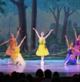 El ballet goza de buena salud en Miami