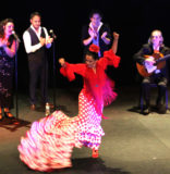 XIV festival de cante flamenco: un encuentro con lo auténtico