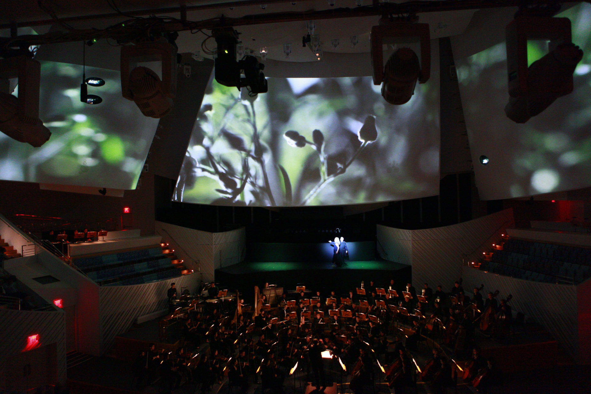 New World Symphony's Exciting Ultra HiDef Season Ahead ArtburstMiami