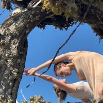 Festival ScreenDance Miami: la danza en función de la cámara