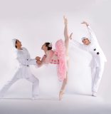 Arts Ballet Theatre of Florida will bring to life ‘Fairy Doll’