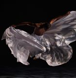 DIMENSIONS DANCE THEATRE OF MIAMI: UN PROGRAMA ESPLÉNDIDO Y UN DESCUBRIMIENTO