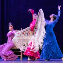 Ilisa Rosal y Ballet Flamenco La Rosa estrenan en línea ‘Flamenco Granaíno’