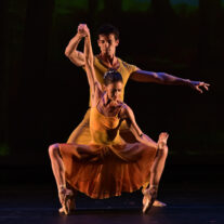 La danza en Miami: eventos y personalidades que definieron el año 2021