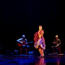 FLAMENCO DE GIRA: FARRUQUITO Y JOSÉ ALMARCHA SON OVACIONADOS EN MIAMI