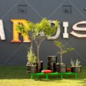 Artist’s green vision is paradise at MOCA, North Miami