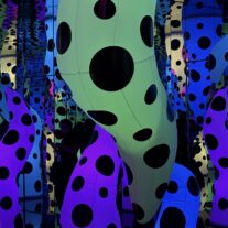 LOS COLORES Y LAS SALAS INFINITAS DE YAYOI KUSAMA EN EL PAMM Y EL MUSEO RUBELL
