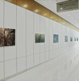 PHOTOGRAPHIC PORTAL TRANSPORTS VIEWERS FROM HOSPITAL INTO THE EVERGLADES
