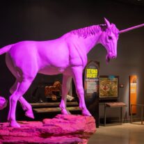 Enthralling ‘Mythic Creatures’ Casts a Spell at HistoryMiami Museum