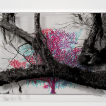 Charles Gaines Confounds with Conceptual Art at ICA Miami