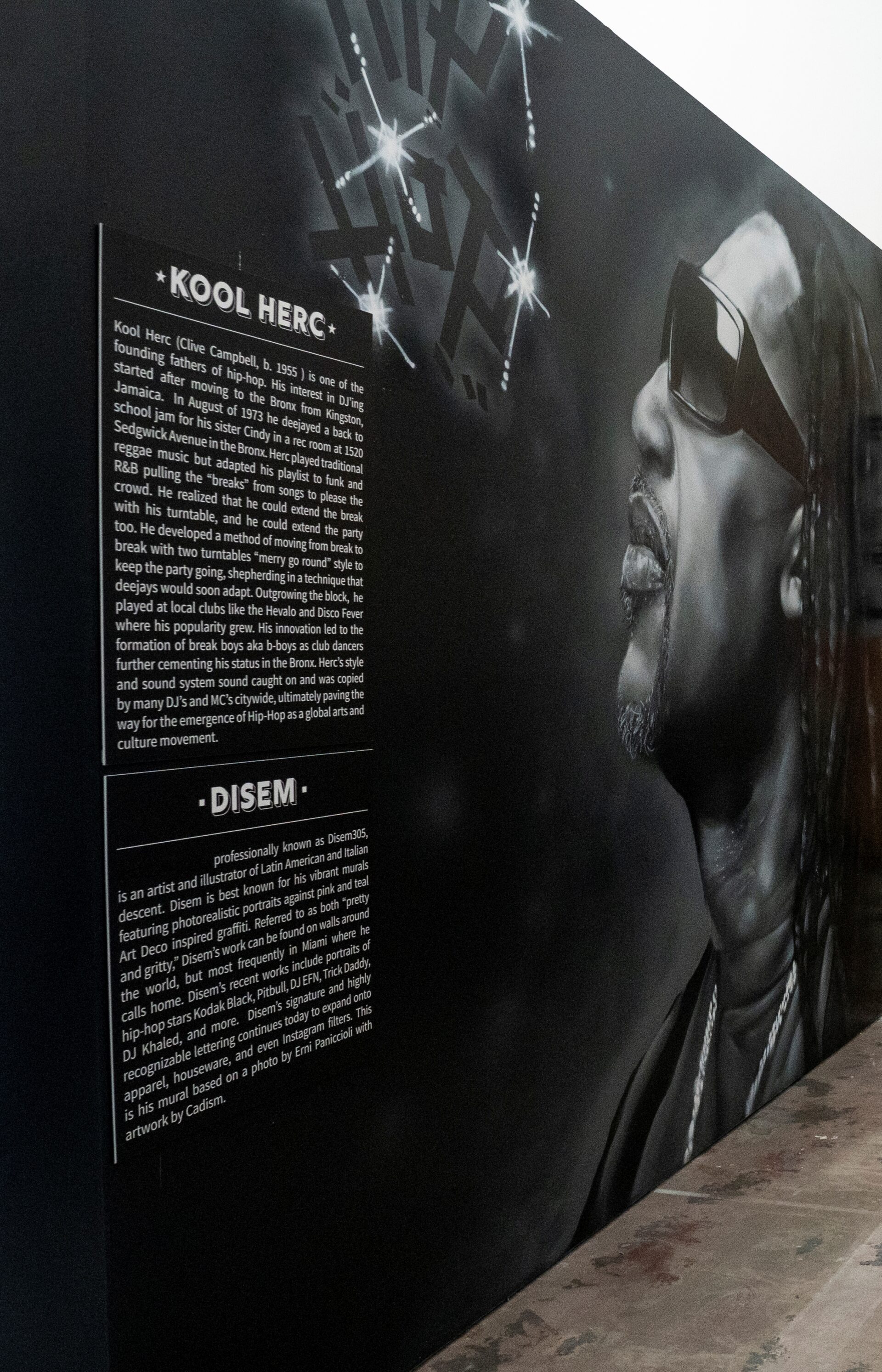 'From the Bronx to the Beach' at The Art of Hip Hop Looks Beyond Music ...