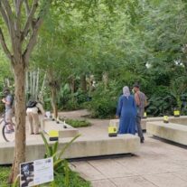 Experience ‘Orchidelirium’ at the Miami Beach Orchid Festival