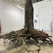 Hampton Art Lovers presents “Under a Simple Tree: The Canopy Policy Project”