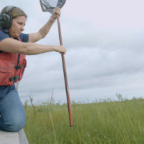 Everglades Foundation’s ‘Stories’ Bring Ecosystem Into Focus