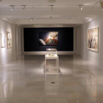 Exiled Cuban Artist Baruj Salinas Dies at 89, Made Coral Gables His Home