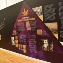 At the Jewish Museum of Florida, Pot in Jewish Life, Both Ancient and Modern
