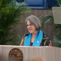 FL Gov’s Proposal Of Funds Glimmer of Hope At 2025 Miami-Dade State of the Arts