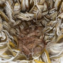 On View at Collective 62: ‘Idas y Vueltas’