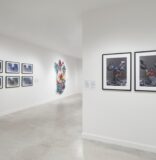 MOAD Art Exhibition Another Reason To Visit Newly Reopened Freedom Tower