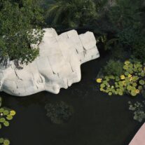 Who Is That Face In The Water in North Beach’s Ocean Terrace Park?