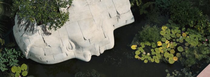 Who Is That Face In The Water in North Beach’s Ocean Terrace Park?