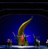 La danza en Miami durante 2025 o la exuberancia en tiempos de cólera