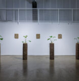 At Locust Projects, Ema Ri’s ‘This Too Shall Pass’ Is a Meditative Journey