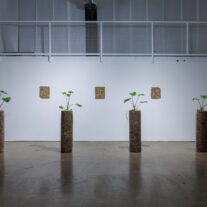 At Locust Projects, Ema Ri’s ‘This Too Shall Pass’ Is a Meditative Journey