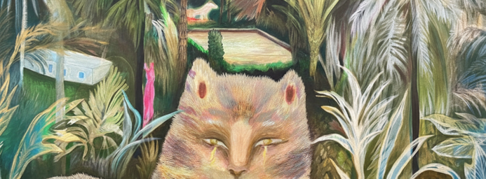 Mahara+Co Show Explores Women, Nature and Interconnection