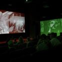 Festival Subtropics 2026: una experiencia sensorial única 