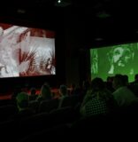 Festival Subtropics 2026: una experiencia sensorial única 