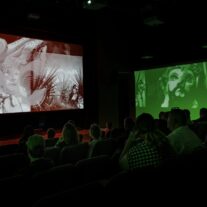 Festival Subtropics 2026: una experiencia sensorial única 